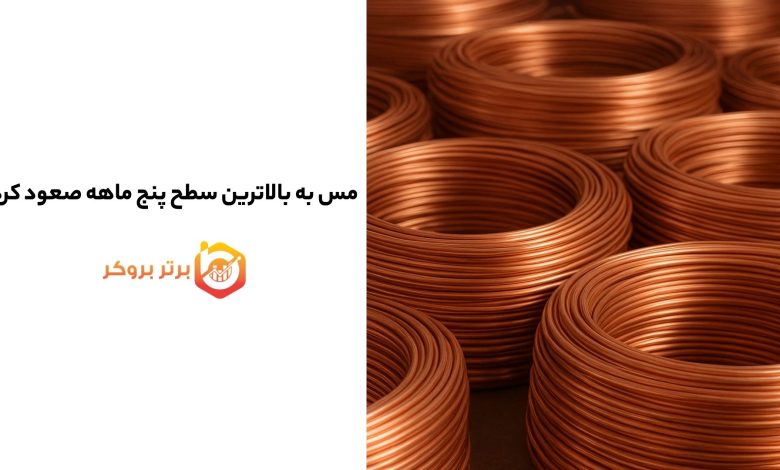 مس به بالاترین سطح پنج ماهه صعود کرد