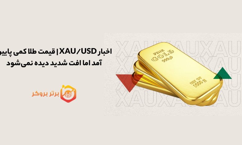 اخبار XAU/USD | قیمت طلا کمی پایین آمد اما افت شدید دیده نمی‌شود